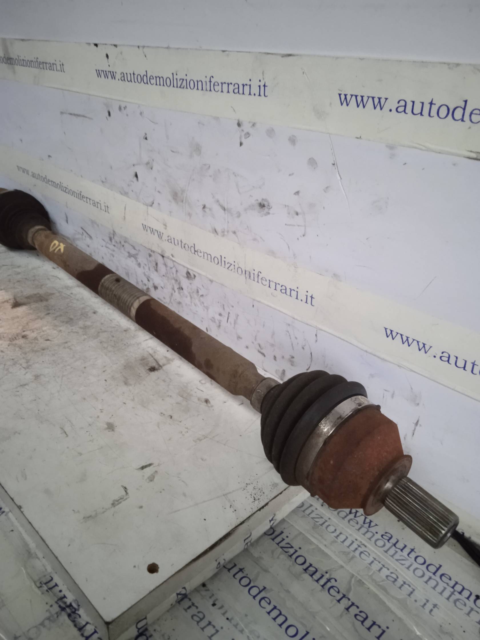 Semialbero ant. compl. sx.